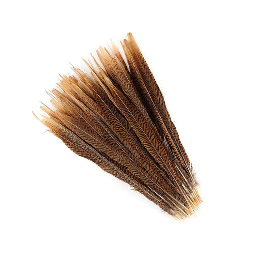 Golden Pheasant Tails Natural - 14 - 16"