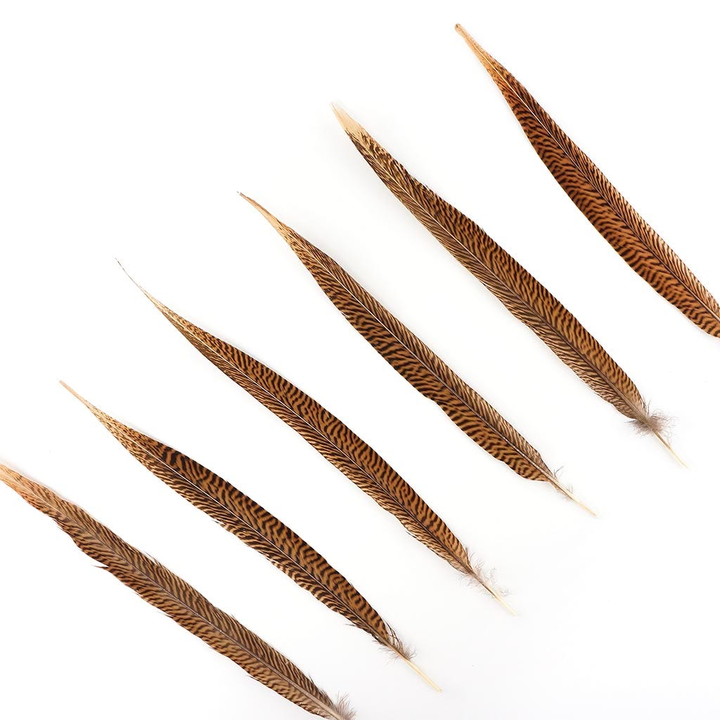Golden Pheasant Tails Natural - 16 - 18"