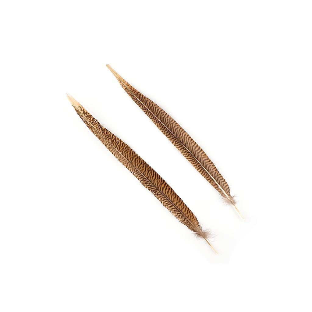 Golden Pheasant Tails Natural - 16 - 18"