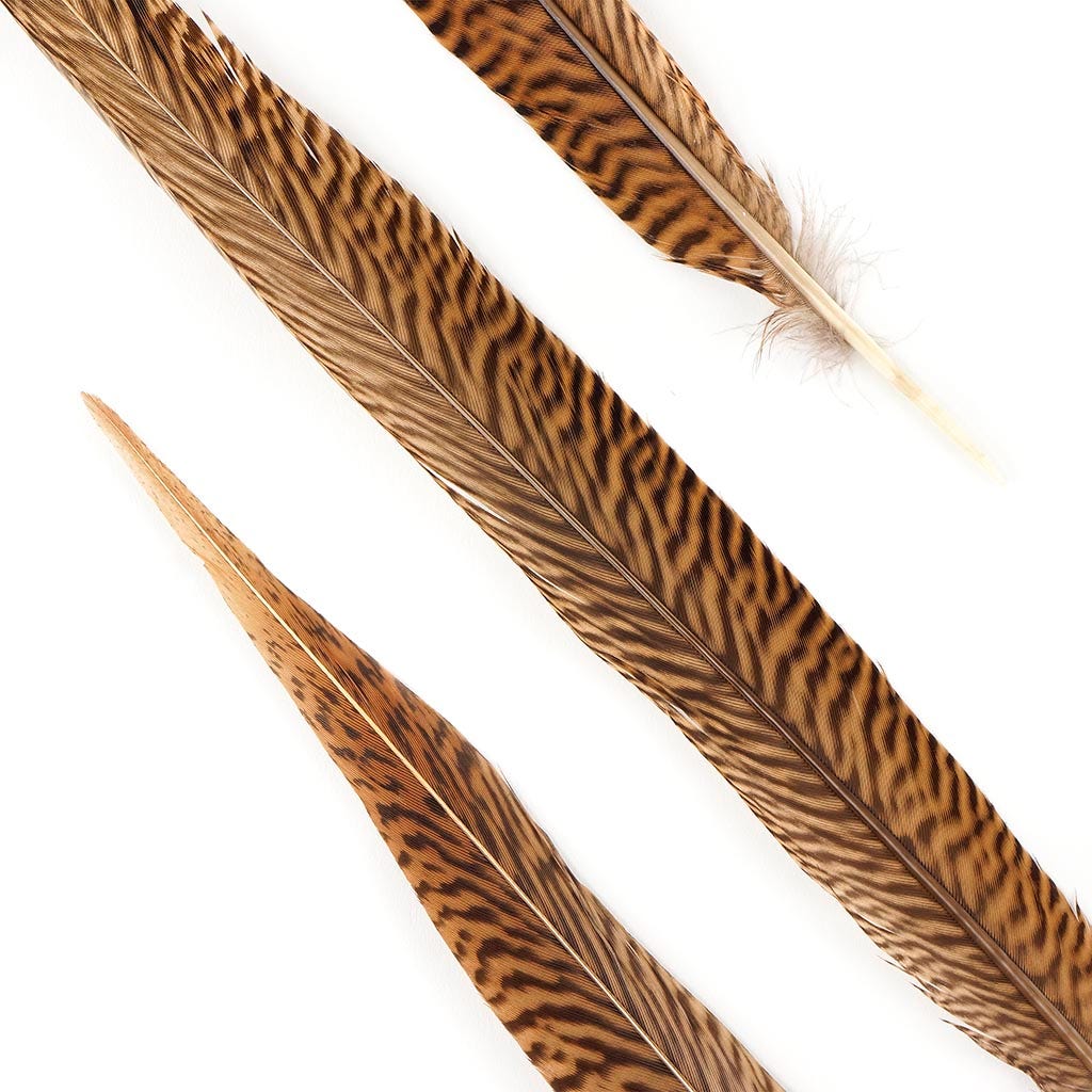 10 PC/PKG Golden Pheasant Tails 16-18" - Natural