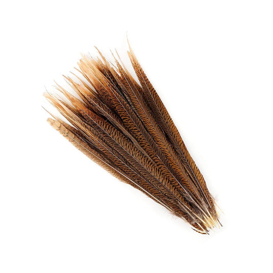 10 PC/PKG Golden Pheasant Tails 16-18" - Natural