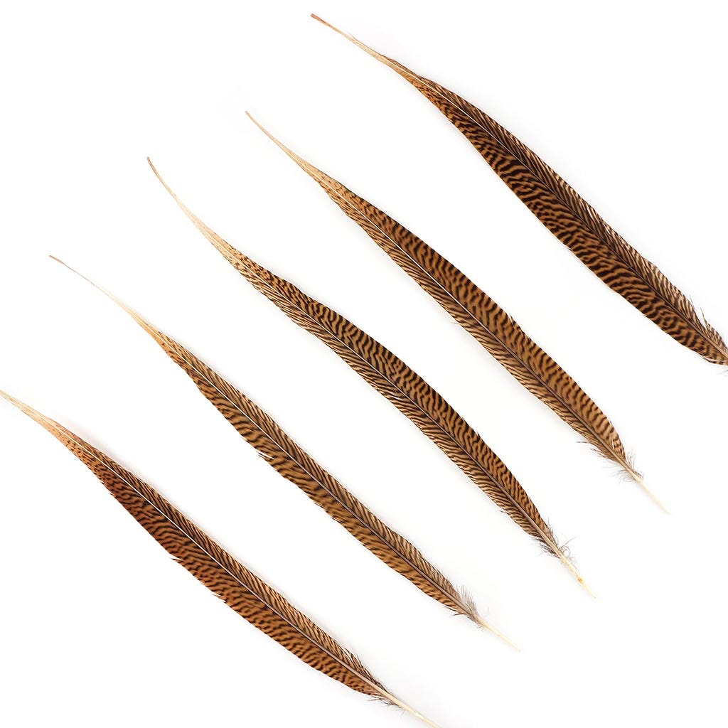 Golden Pheasant Tails Natural - 18 - 20"