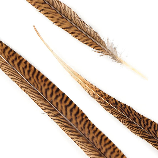 10 PC/PKG Golden Pheasant Tails 18-20" - Natural