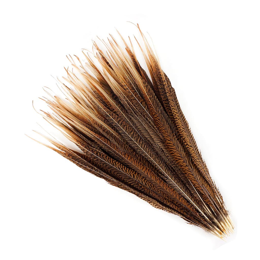Golden Pheasant Tails Natural - 18 - 20"