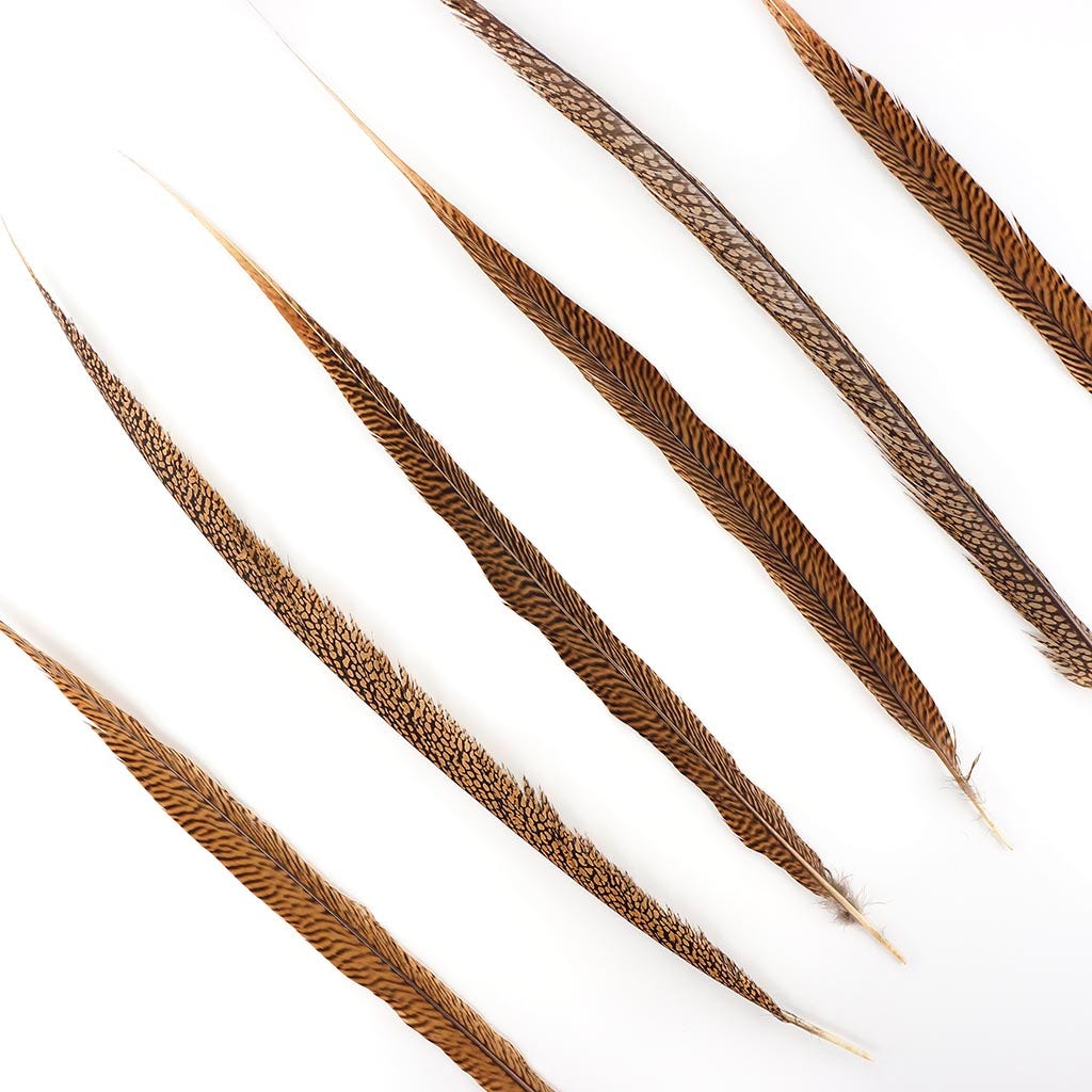 3 PC/PKG Golden Pheasant Tails 20-25" - Natural