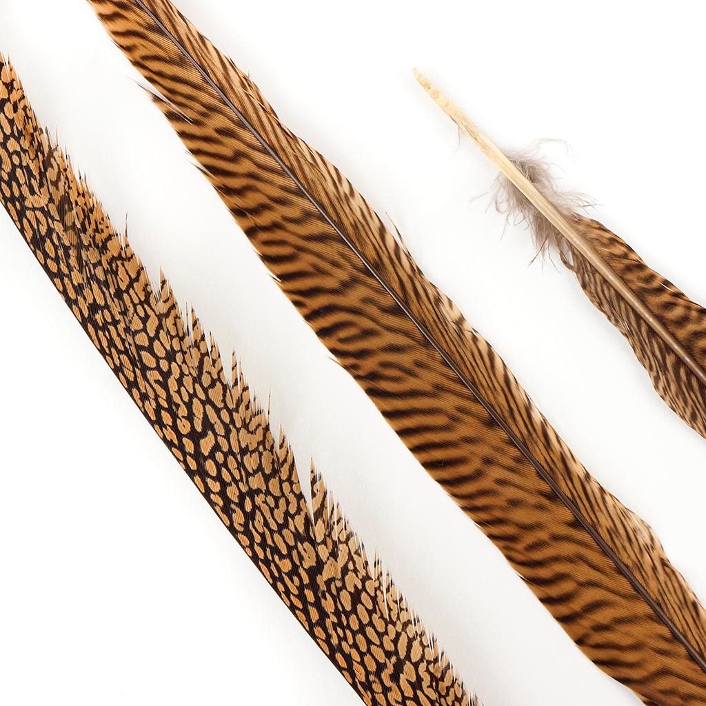 3 PC/PKG Golden Pheasant Tails 20-25" - Natural