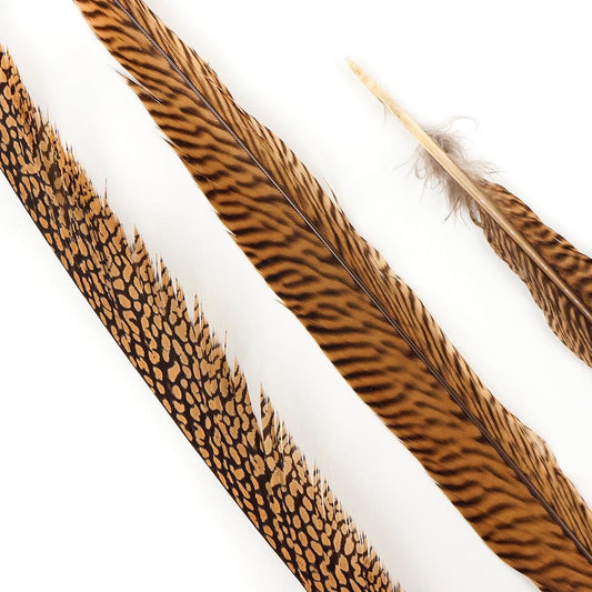 3 PC/PKG Golden Pheasant Tails 20-25" - Natural