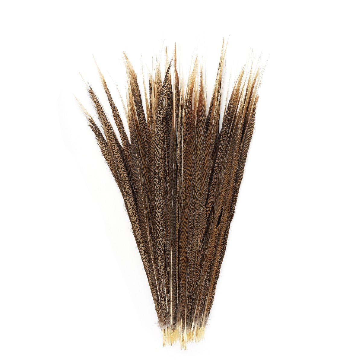 3 PC/PKG Golden Pheasant Tails 20-25" - Natural