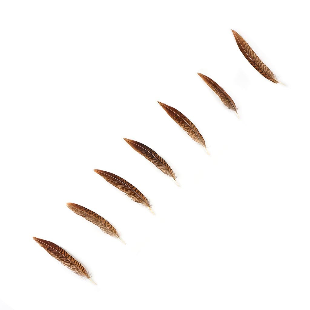 Golden Pheasant Tails Natural - 4 - 6"