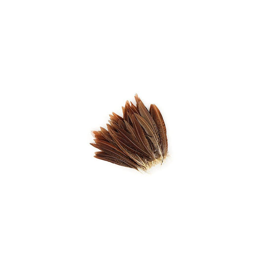 Golden Pheasant Tails Natural - 4 - 6"