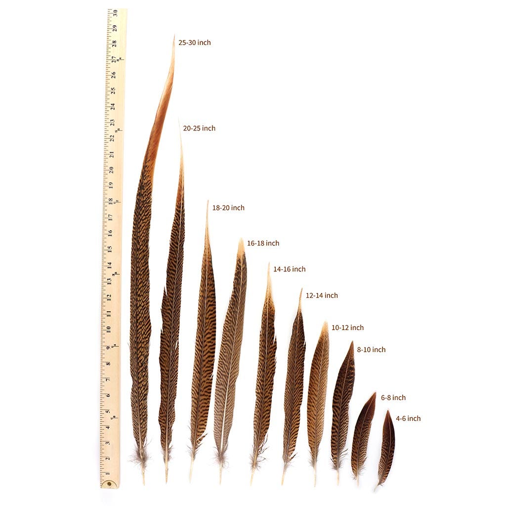 10 PC/PKG Golden Pheasant Tails 6-8" - Natural