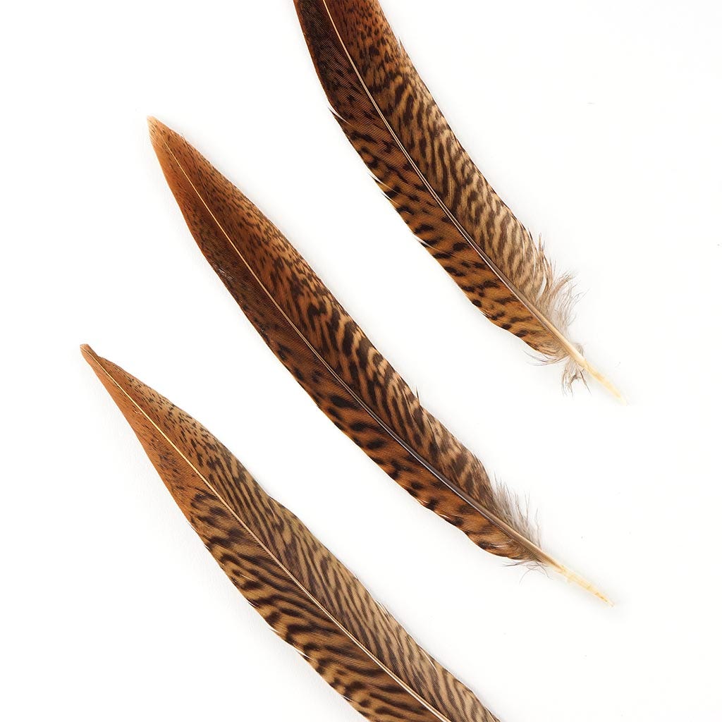 10 PC/PKG Golden Pheasant Tails 6-8" - Natural