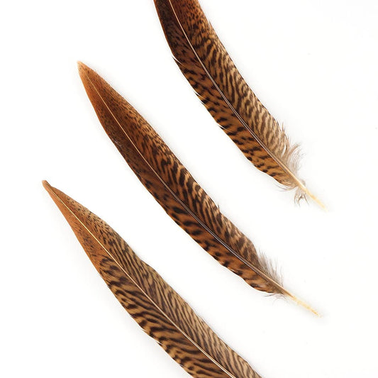 10 PC/PKG Golden Pheasant Tails 10-12" - Natural