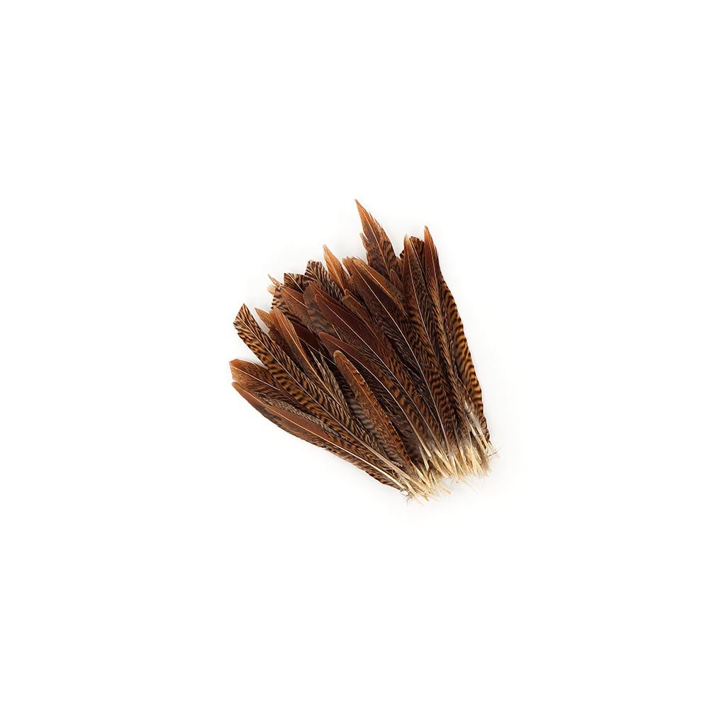 10 PC/PKG Golden Pheasant Tails Natural 8-10" - Natural