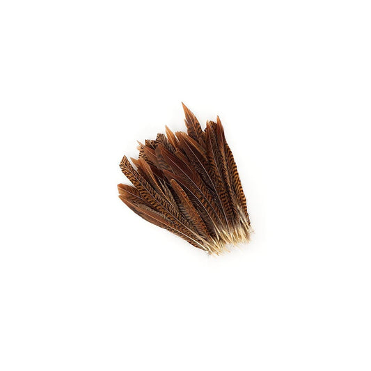 Golden Pheasant Tails Natural - 6 - 8"