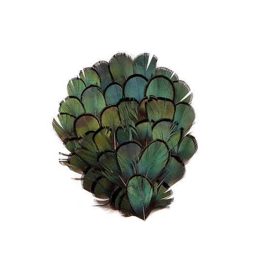 Bronze-Iridescent Feather Pad - Natural