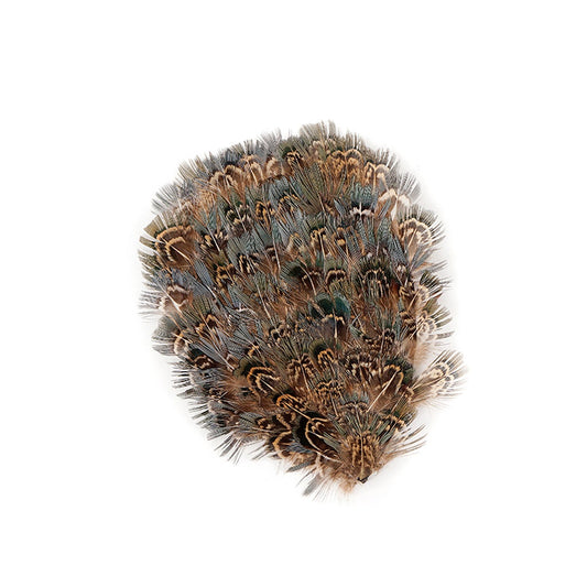 Blue Almond Ringneck Pad - Natural