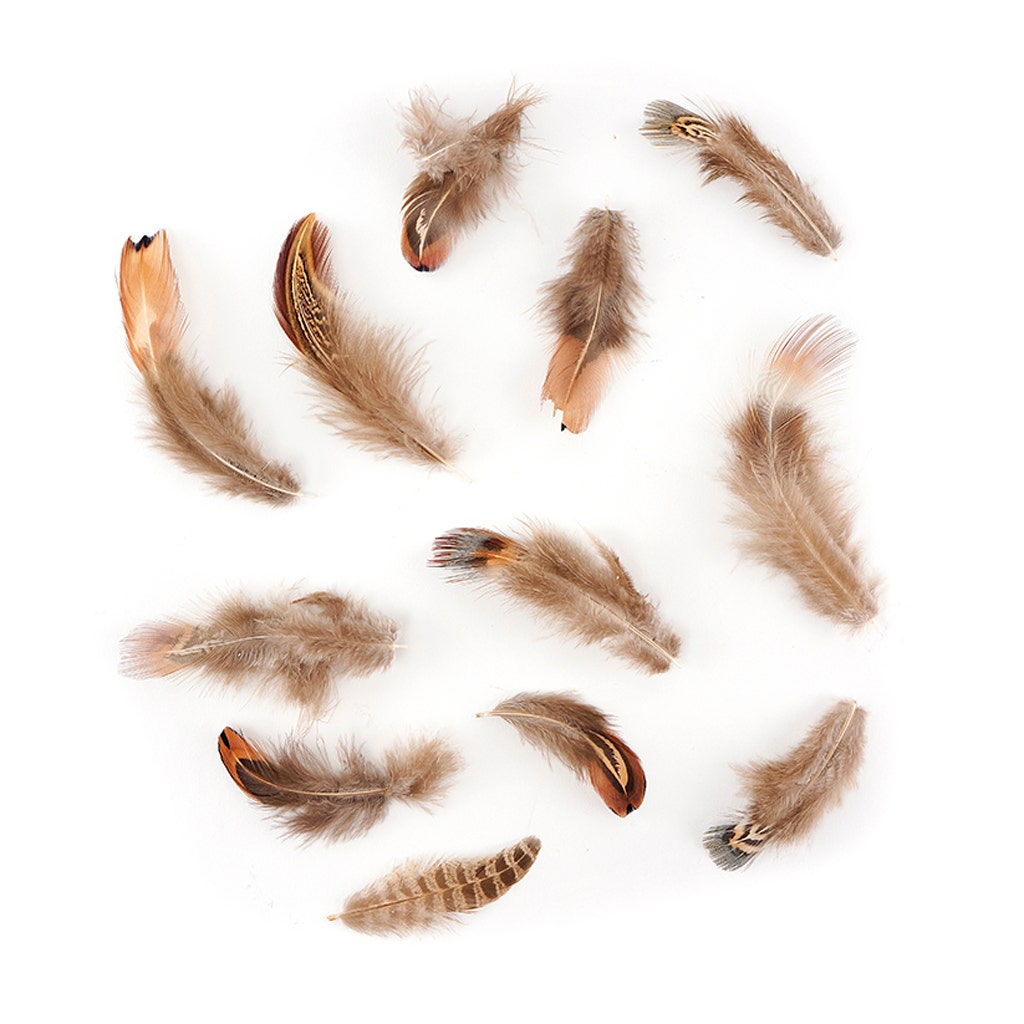 Pheasant Plumage Mix Natural - Natural