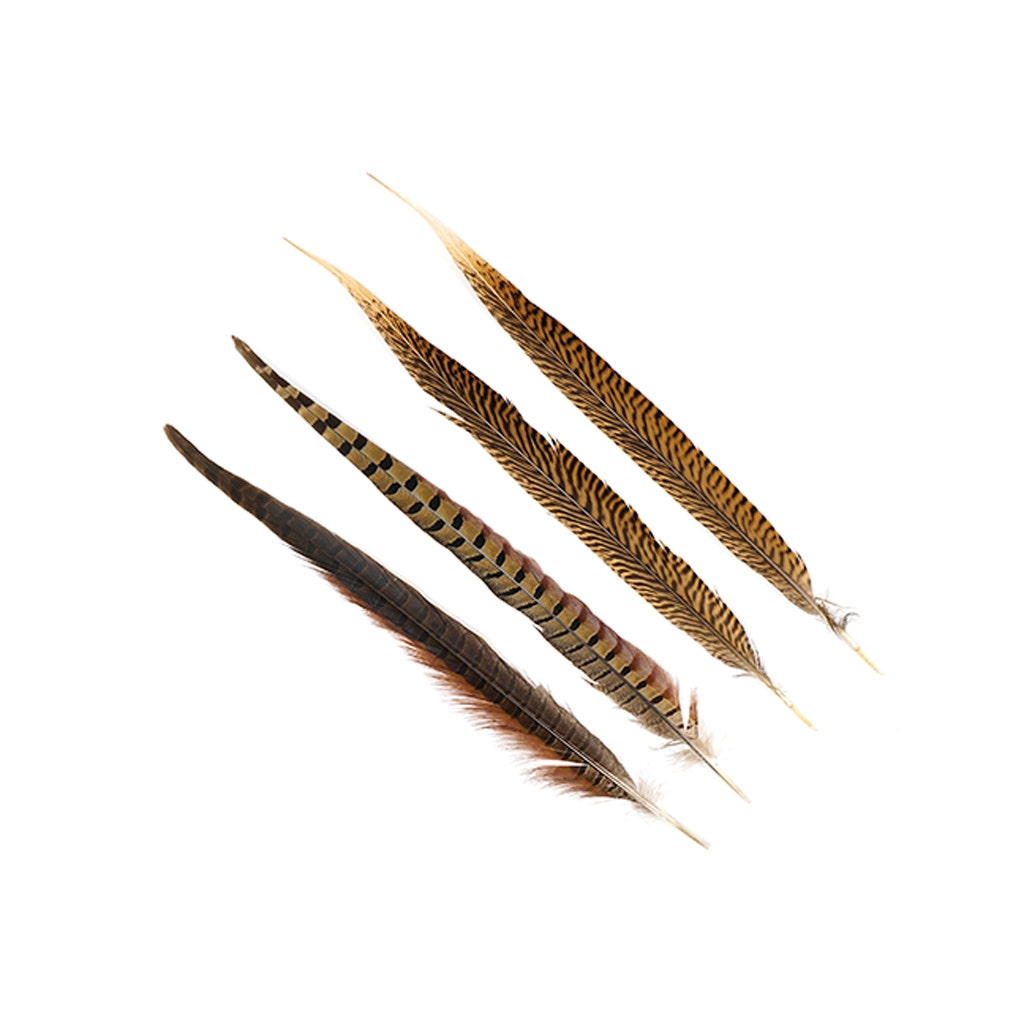 Pheasant Tails Assorted Natural -14 -18"