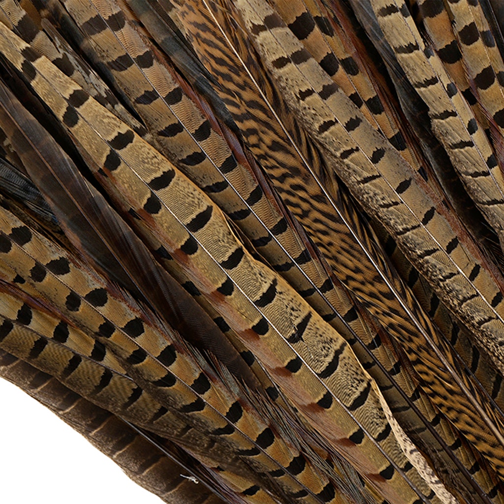 Pheasant Tails Assorted Natural -14 -18"