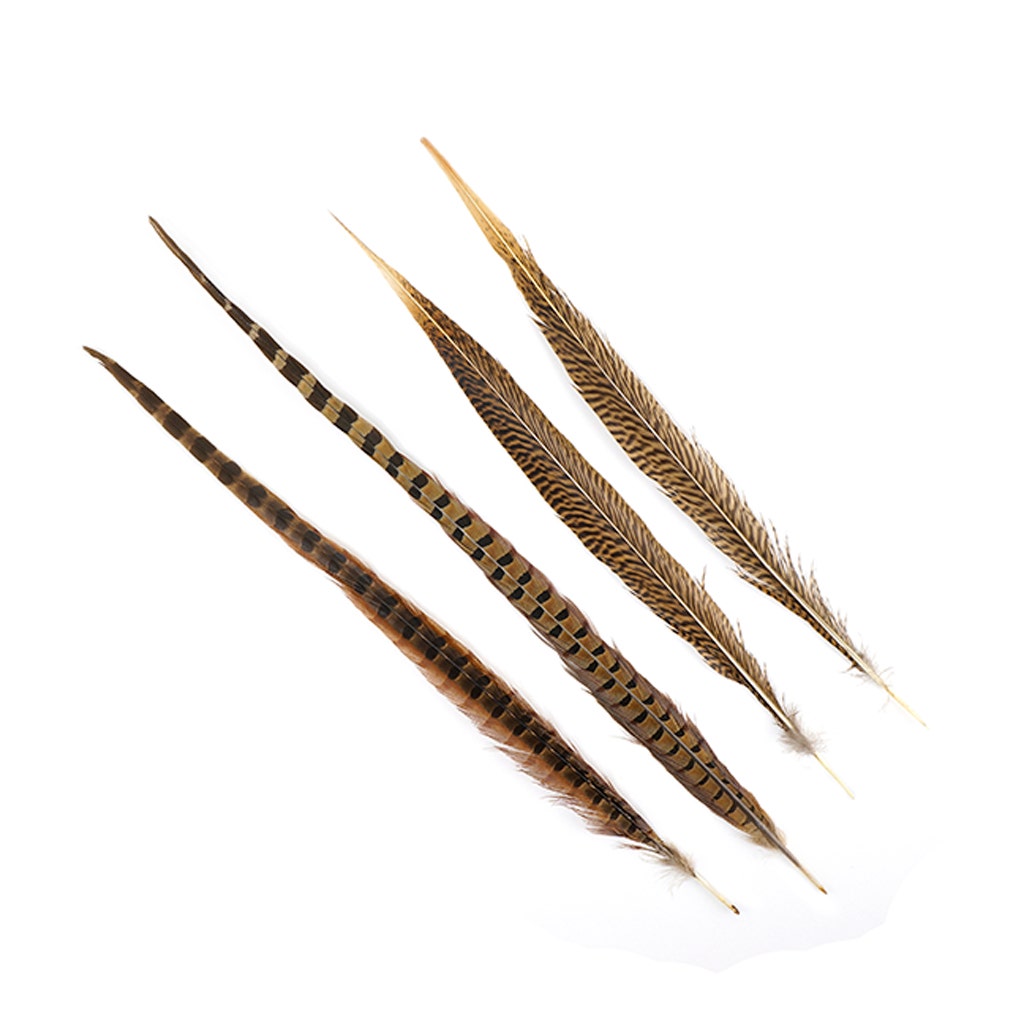 Pheasant Tails Assorted Natural - 16 - 30"