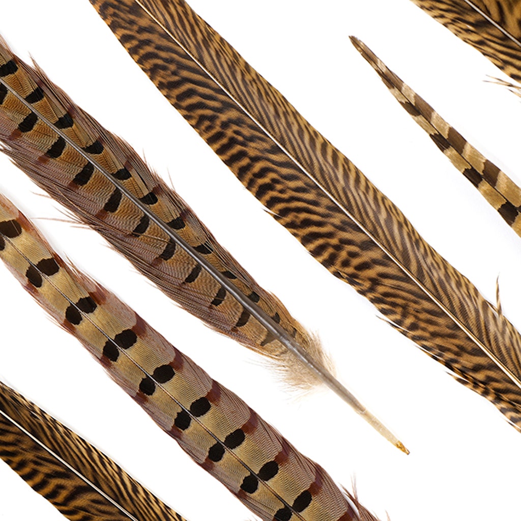 Pheasant Tails Assorted Natural - 16 - 30"
