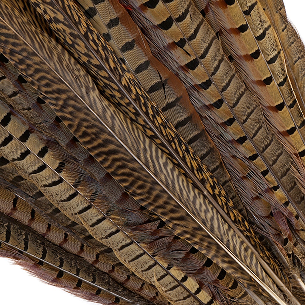 Pheasant Tails Assorted Natural - 16 - 30"