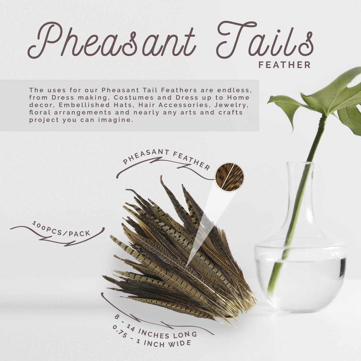 Assorted Pheasant Tails - Natural