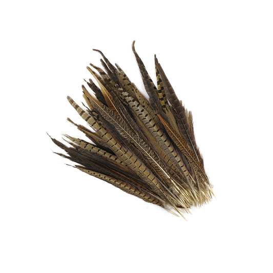 Assorted Pheasant Tails - Natural