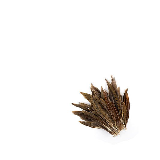 Assorted Pheasant Tails - Natural - 4 - 8"