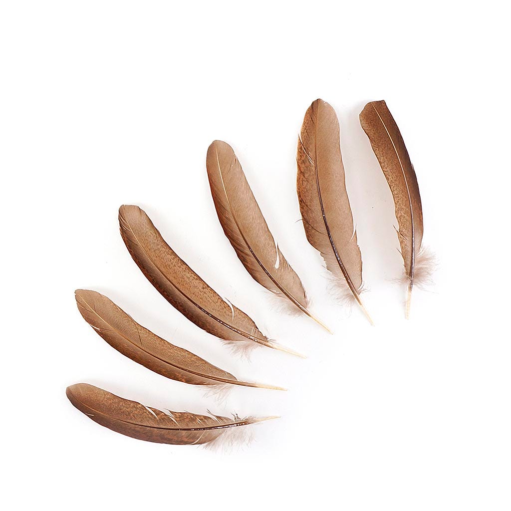 Pheasant Tail Feathers Dyed - Natural