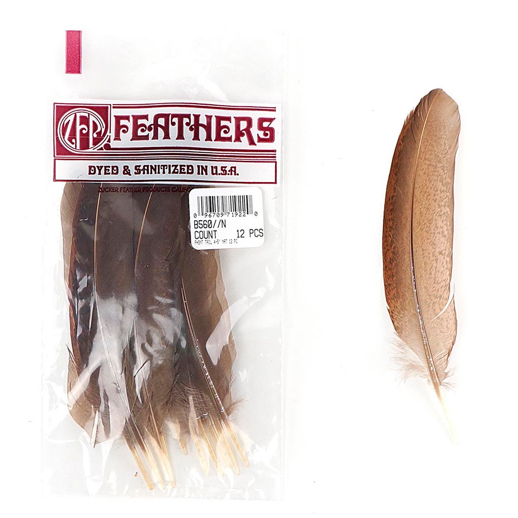 Pheasant Tail Feathers Dyed - Natural