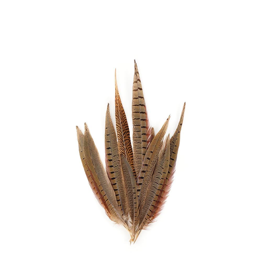 Pheasant Tails Assorted Natural - 8-14"