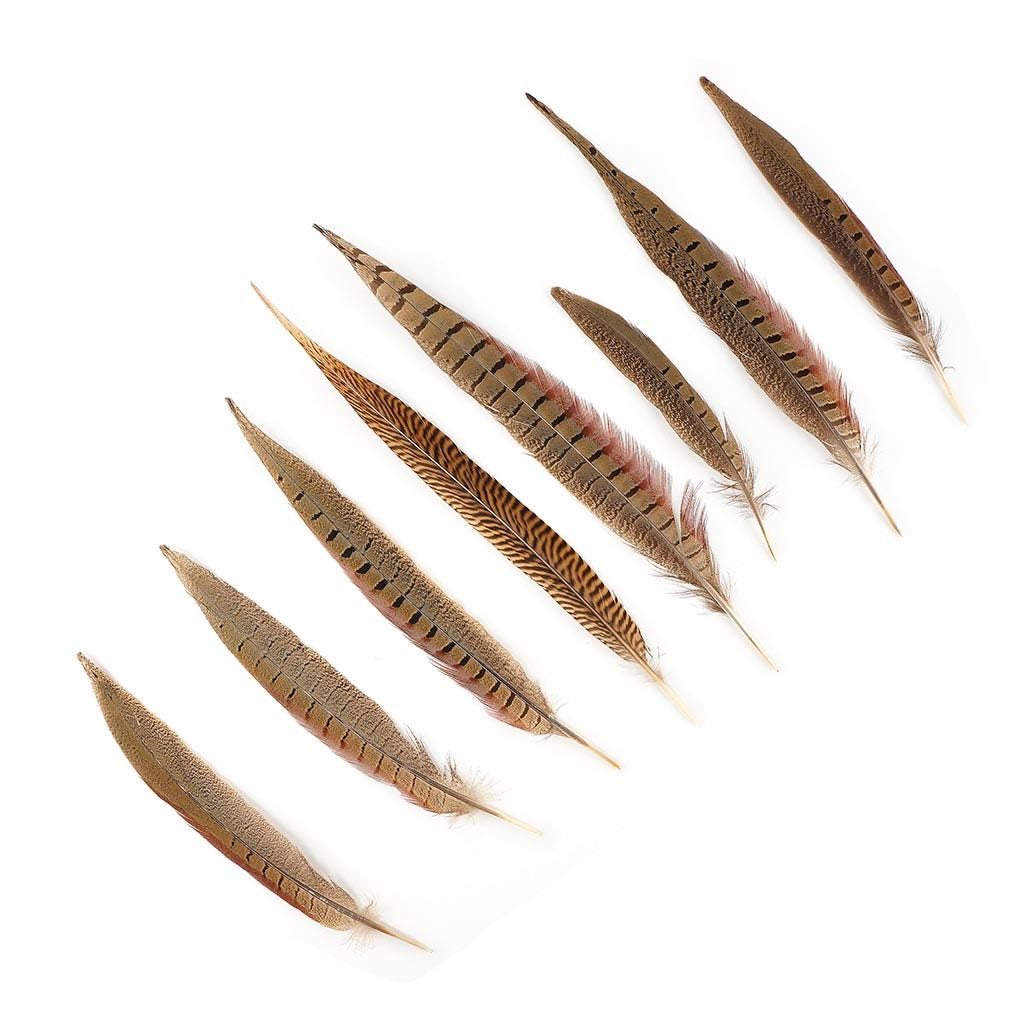 Pheasant Tails Assorted Natural - 8-14"