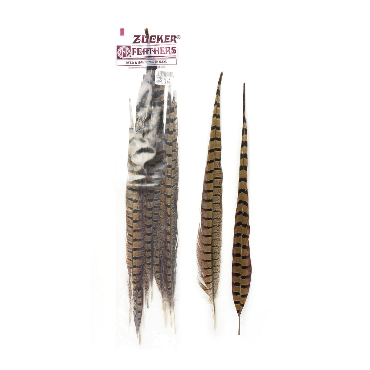 Pheasant Tails Assorted Natural -14-18"