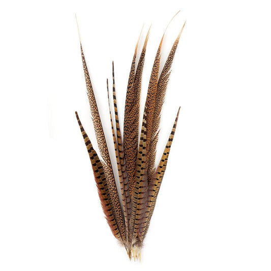 Pheasant Tails Assorted Natural -16-30"