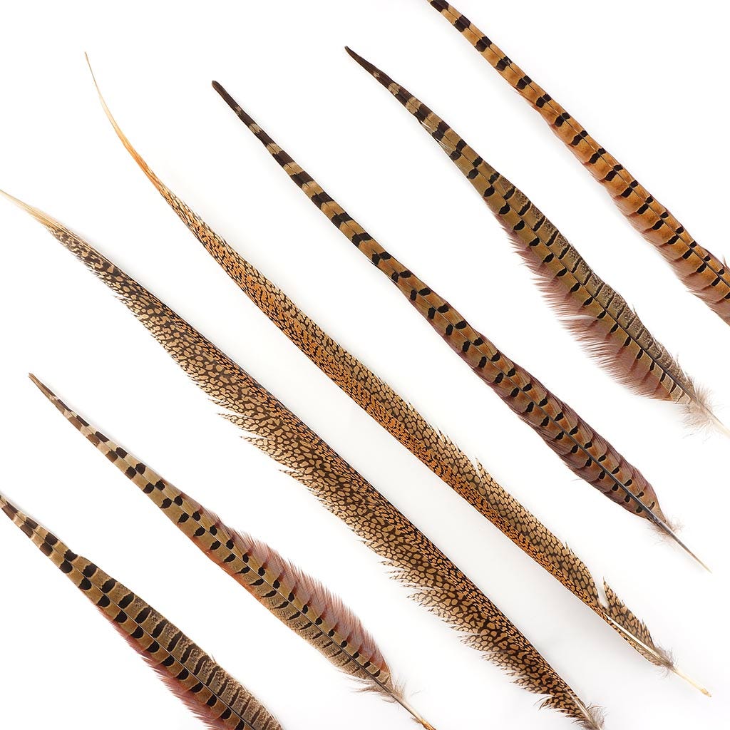 Pheasant Tails Assorted Natural -16-30"