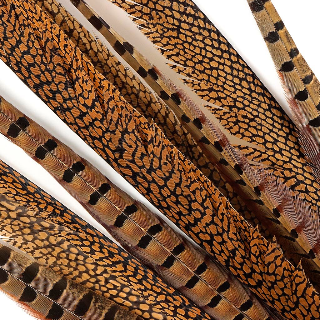 Pheasant Tails Assorted Natural -16-30"