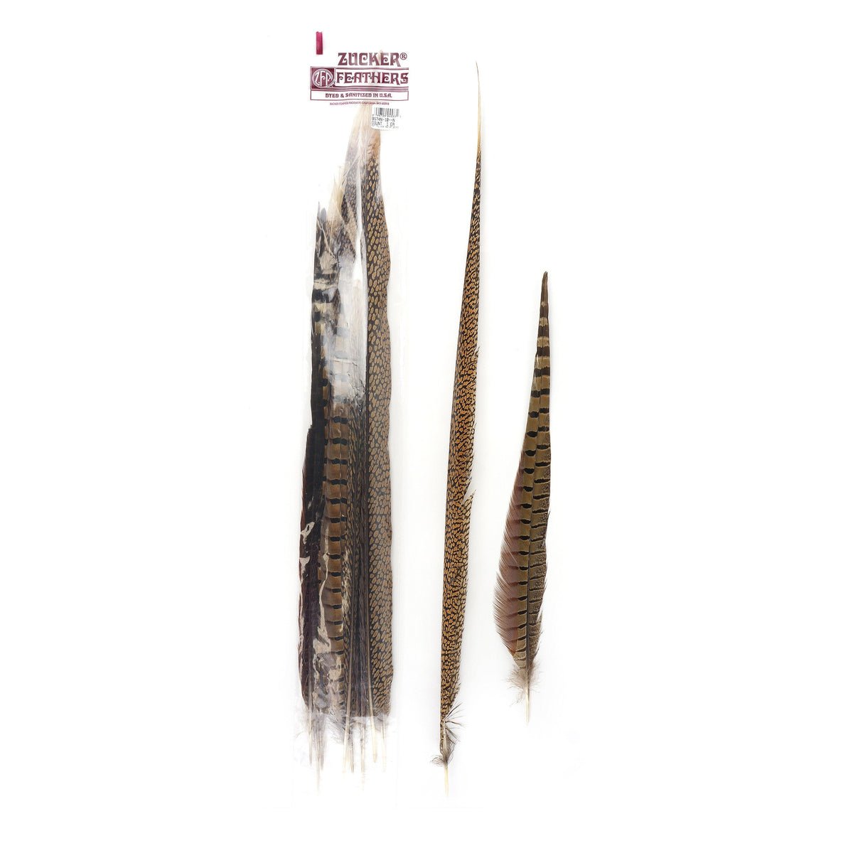 Pheasant Tails Assorted Natural -16-30"