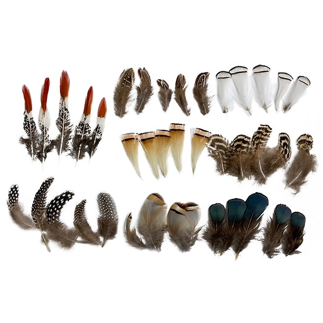 Mixed Natural, Un-dyed Feathers 1.5-4” 40 PC
