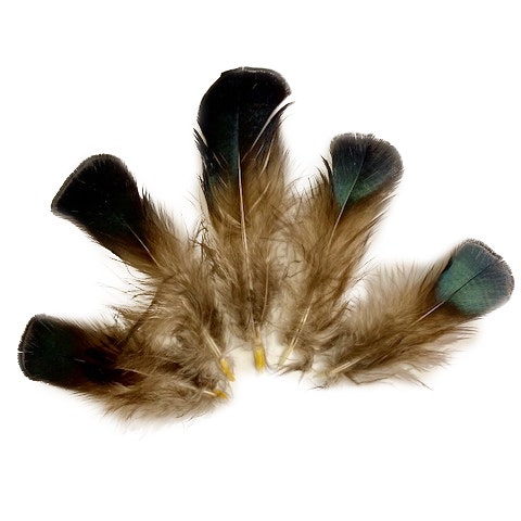Mixed Natural, Un-dyed Feathers 1.5-4” 40 PC