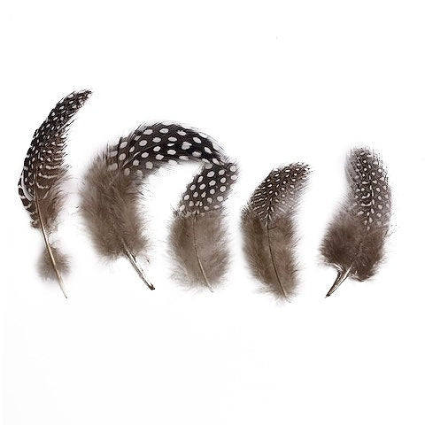 Mixed Natural, Un-dyed Feathers 1.5-4” 40 PC