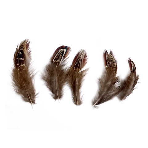 Mixed Natural, Un-dyed Feathers 1.5-4” 40 PC
