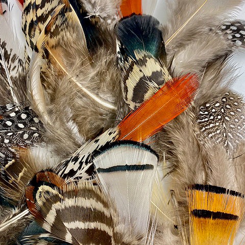 Mixed Natural, Un-dyed Feathers 1.5-4” 40 PC