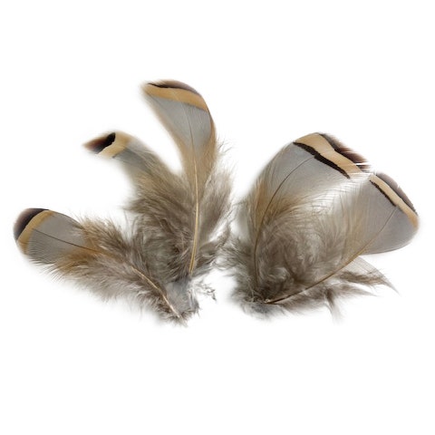 Mixed Natural, Un-dyed Feathers 1.5-4” 40 PC