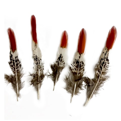 Mixed Natural, Un-dyed Feathers 1.5-4” 40 PC