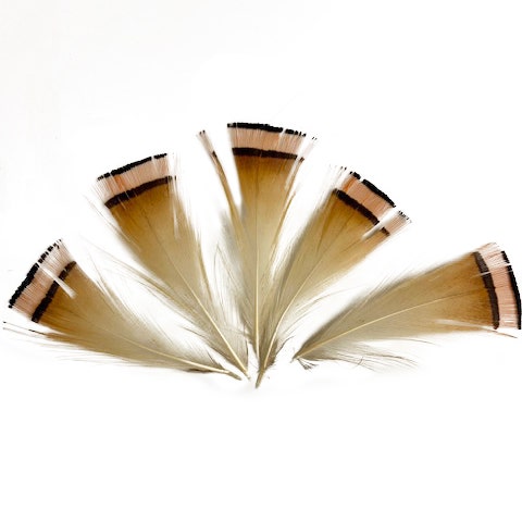 Mixed Natural, Un-dyed Feathers 1.5-4” 40 PC