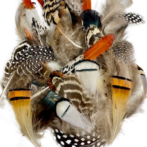 Mixed Natural, Un-dyed Feathers 1.5-4” 40 PC