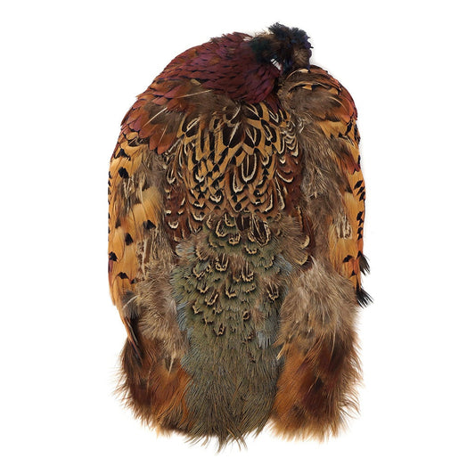 Ringneck Pheasant Pelts No Neck/Wing #1 - Natural