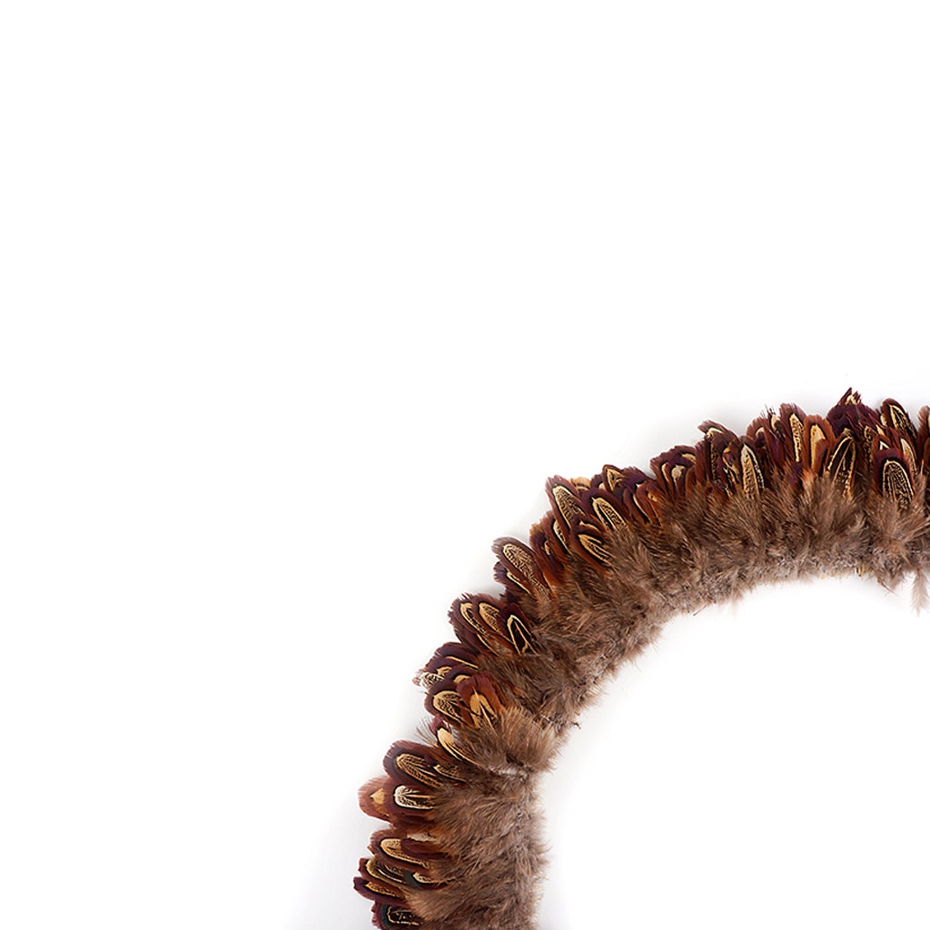 Ringneck Plumage-Almond - Natural - 2 - 4"
